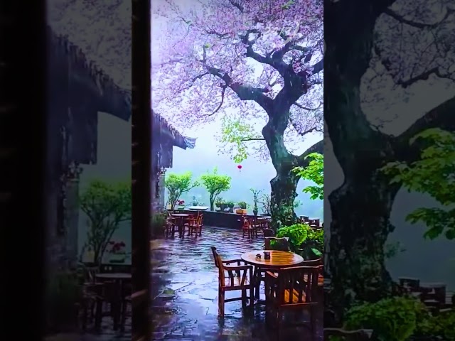 Sounds of nature rain for sleeping