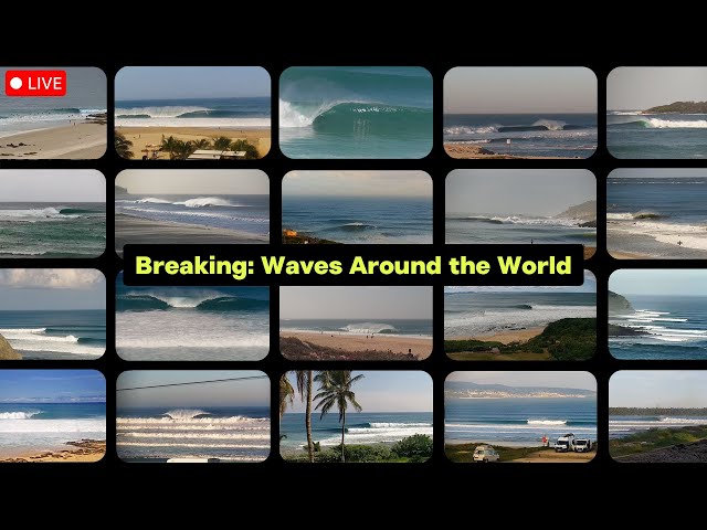 Surfline TV | LIVE Surf Cams 24/7