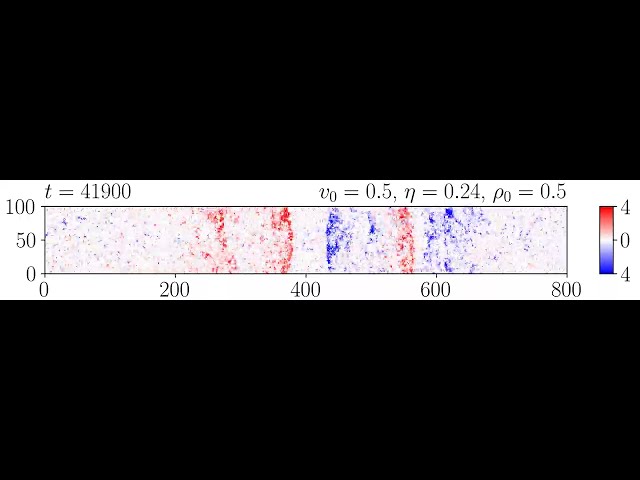 Two-species Vicsek model in rectangular geometry - Anti-parallel flocking state