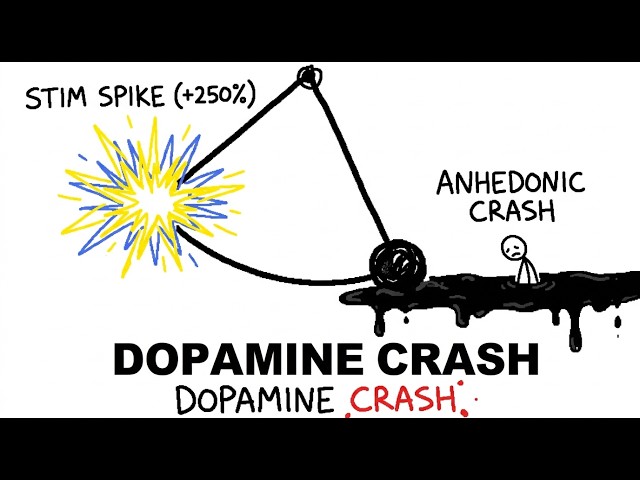 The Dopamine Pendulum (Why High-Stim Biohacking Backfires)