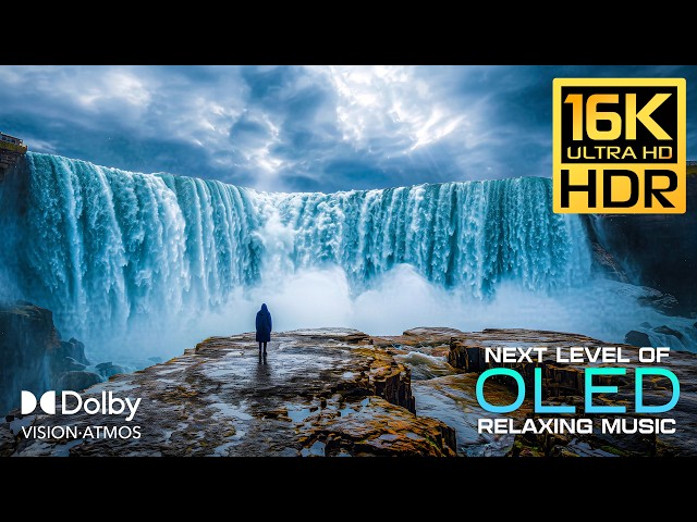 Unseen World's of OLED HDR Display test | 16K HDR 60FPS Dolby Vision | 4K Video/8K Ultra HD TV