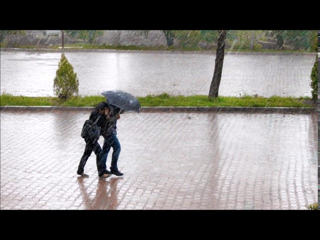 Heavy Rain and Thunder Sounds 8 minutes | Free Sound Effects | Ambient Sounds