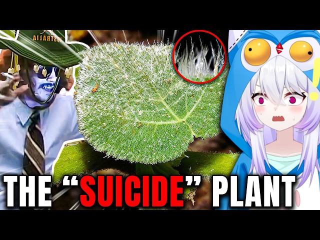 Nature is TRYING to KILL You! Vtuber Reacts to More MoreParz!