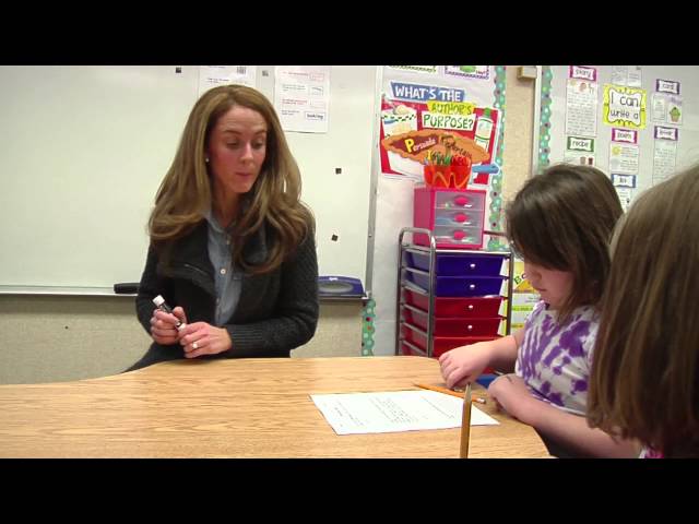 Teacher uses a variety of strategies to differentiate instruction - Example 2