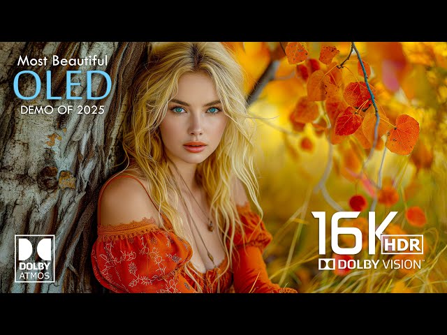 Incredible Dolby Vision 16K HDR Video ULTRA HD 1000 FPS (4K / 8K TV)