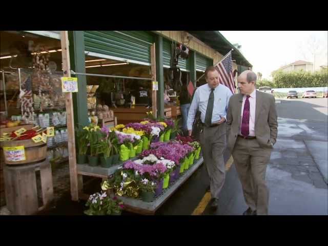 Tracking Inflation: How Fast Are Prices Rising?