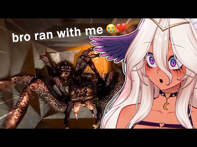 Spiders Surprise Arachnophobic Vtuber During Meme Reaction!