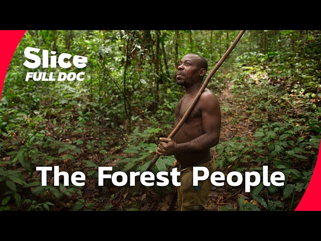 Central Africa’s Hunter-Gatherers: Traditions Under Pressure | FULL DOCUMENTARY