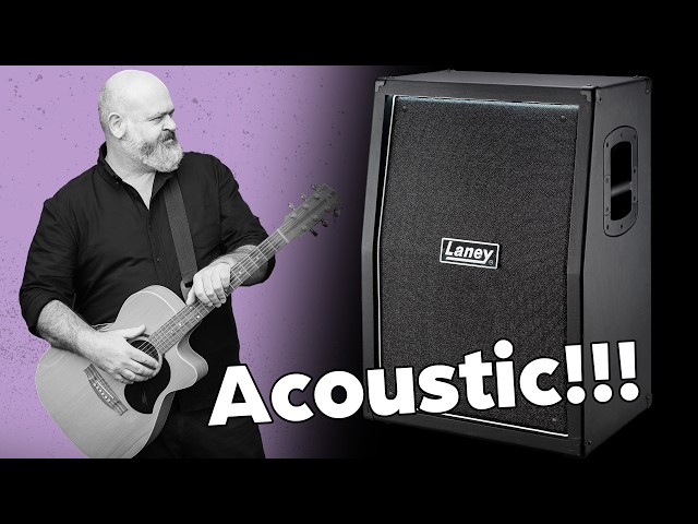 Laney 2x12 FRFR with Acoustic guitar