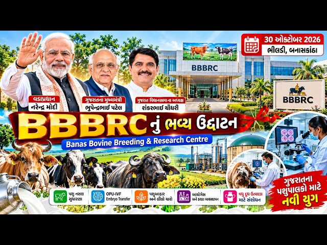 ભીલડીમાં PM મોદીકરશે BBBRCનું લોકાર્પણ સાથે ઘણી બધી જાહેરાત #Narendramodi #બનાસકાંઠા #vavtharadnews