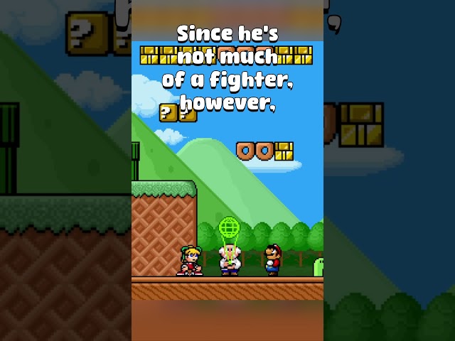 The Story of Mushroom Kingdom Fusion (2/5)
