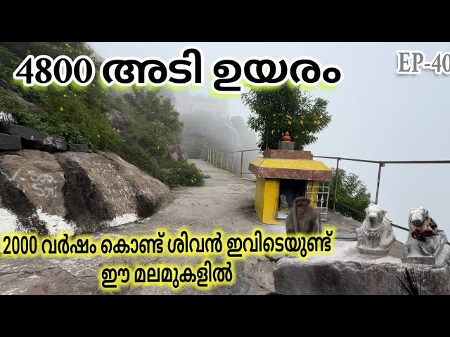 Parvathamalai Hills Tamil Nadu/ ജീവിതത്തിൽ ഒരു പ്രാവശ്യം എങ്കിലും ഇവിടെ പോയിരിക്കണം