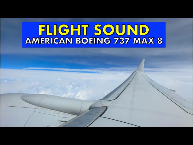 American Airlines 737 MAX 8 Flight Sound and Cabin View