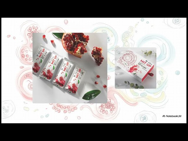 036 About Mito - Hidden Aging Process