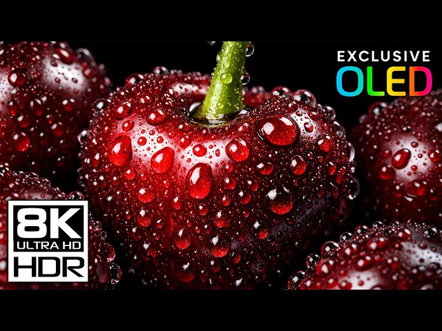 True Black 8K OLED Test | HDR Dolby Vision | 60FPS Deep Color