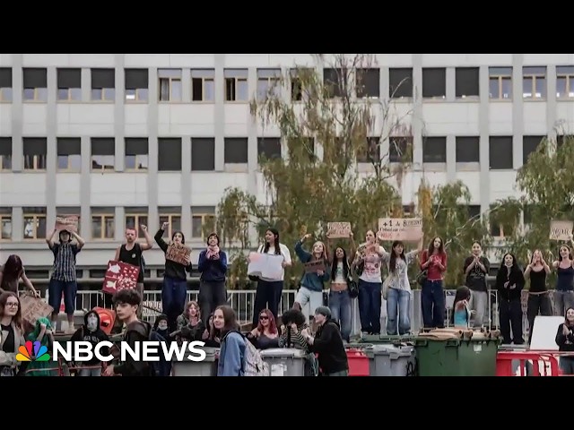 Student protests in France take violent turn