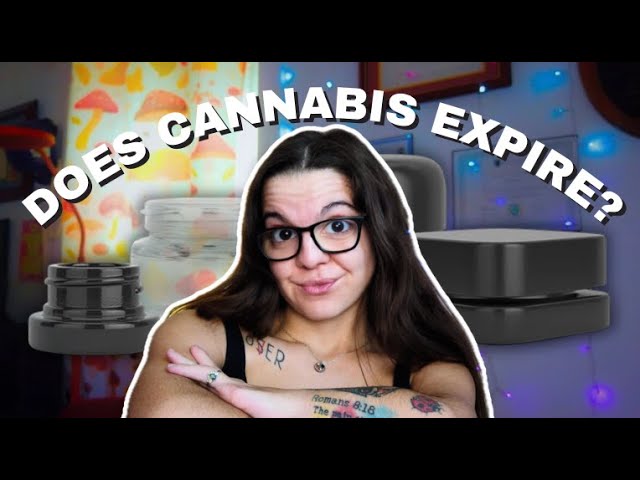 WHEN DOES WEED EXPIRE? | How Long Flower, Concentrates & Infused Foods Really Last?