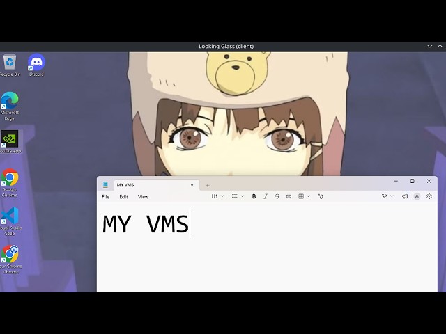 My Virtual Machine Setup revealed