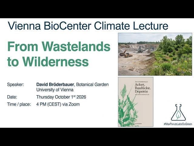 From Wastelands to Wilderness - David Bröderbauer