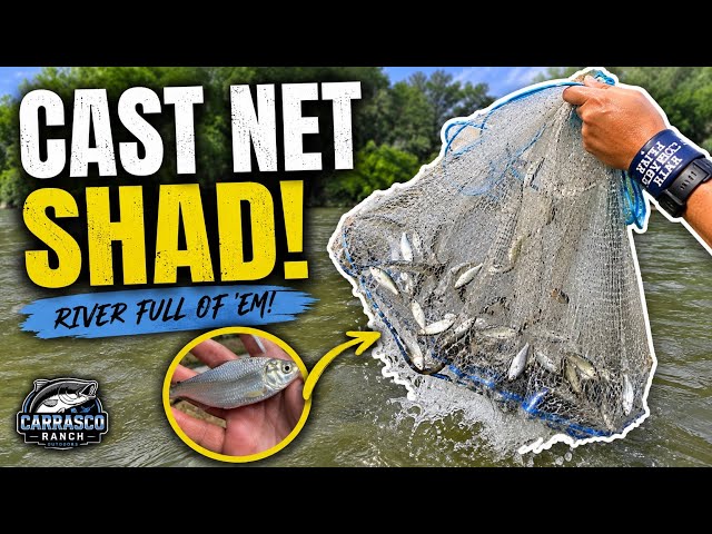 Bait hual On the River 