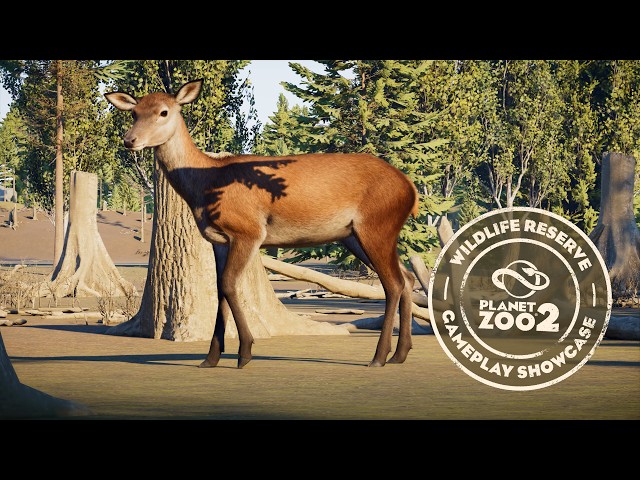 Planet Zoo 2 | Wildlife Reserve Gameplay Showcase