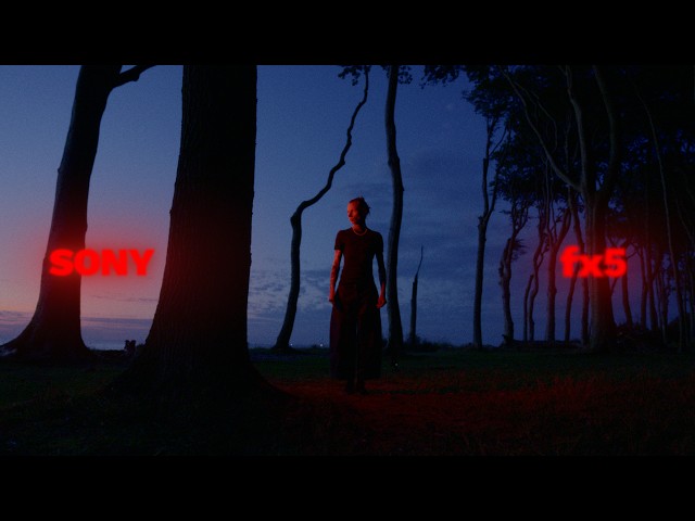 The SONY FX5 changed the way I film.