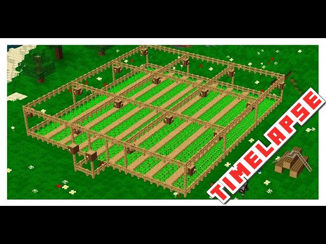 Granja De Patatas | Potato Farm | TimeLapse