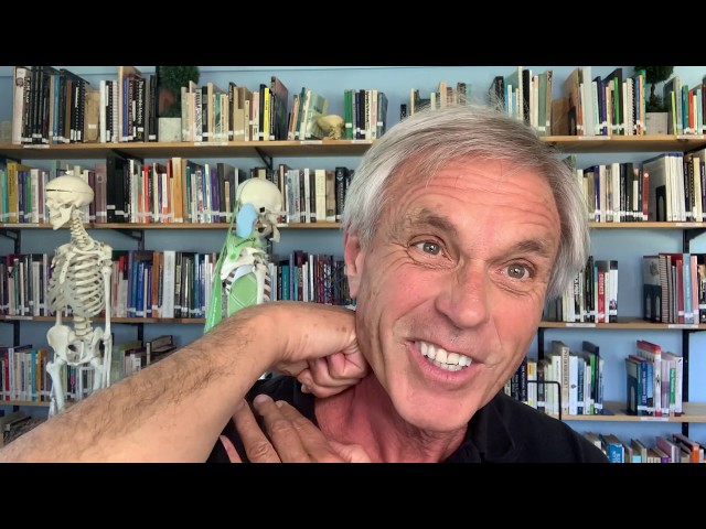 Tom Myers' self-help routine for the neck