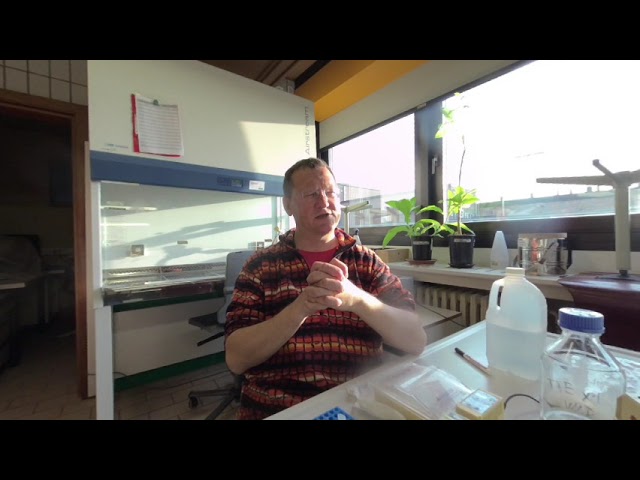 Labtimes013 injected