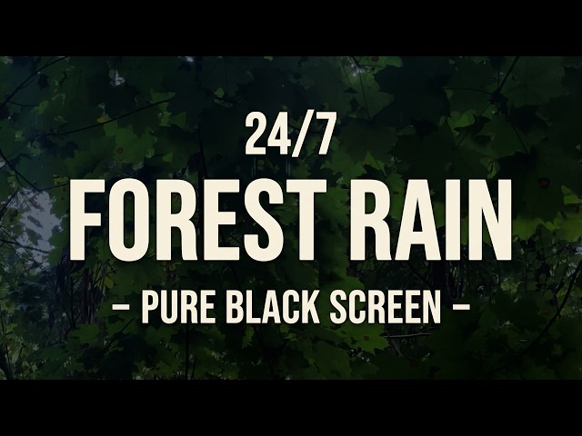 Black Screen Rain on Forest Leaves | 24/7 Sleep & Focus