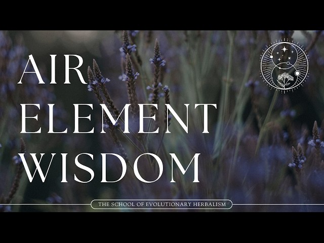 A Guide to the Air Element in Herbal Medicine