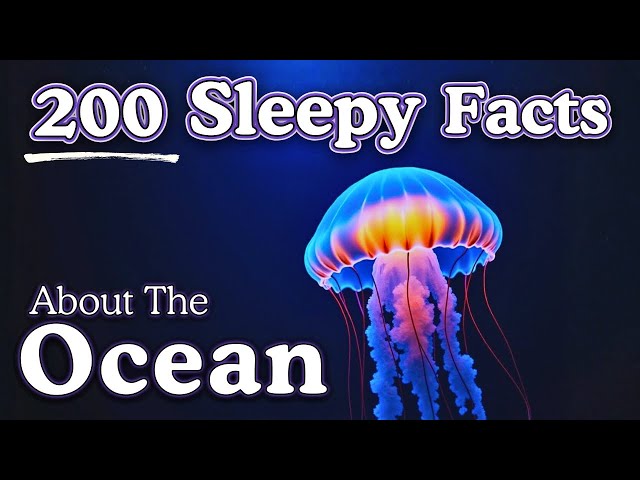 4 Hours of Relaxing Ocean Facts to Fall Asleep To — Dreamy Science