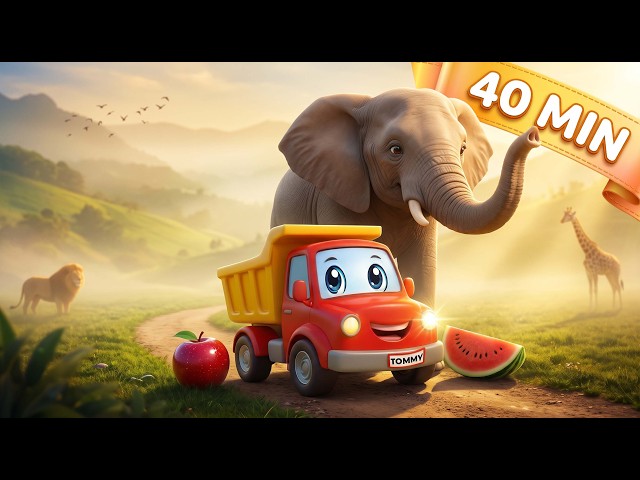 Learn Animals, Birds, Fruits & Vegetables for Kids 🚚 | Fun Learning Compilation | Tommy the Truck