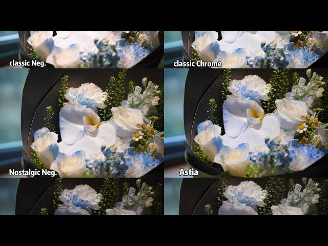 I Flashed Fujifilm Film Simulations onto My Sony A7C II (Open Source Tool)AI辅助A7C2进化