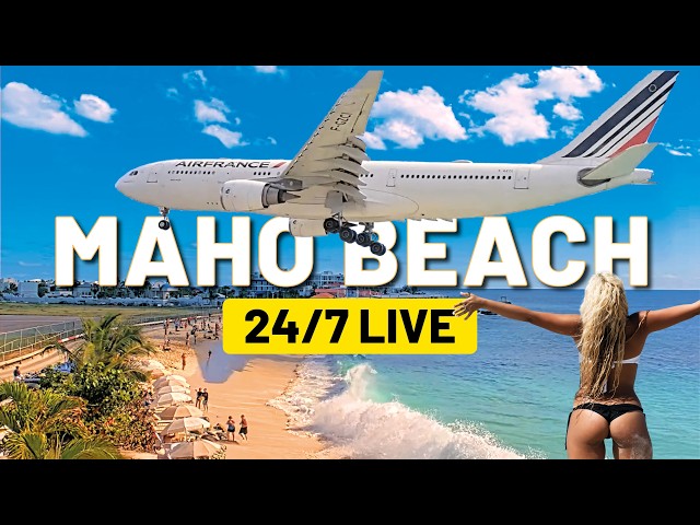 ✈️  Maho Beach Saint Martin | Princess Juliana Airport Beach 24/7 | LIVE Cam