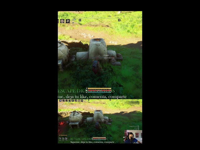 RUNESCAPE DRAGONWILDS