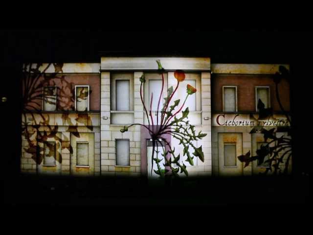 LINFA VITALE// 3d Video Mapping // Apparati Effimeri