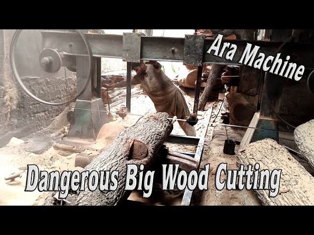 Dangerous Big Wood Cutting /How to Wood Cutting / Ara Machine Lakri Cutting / Amazing Wood Cutting