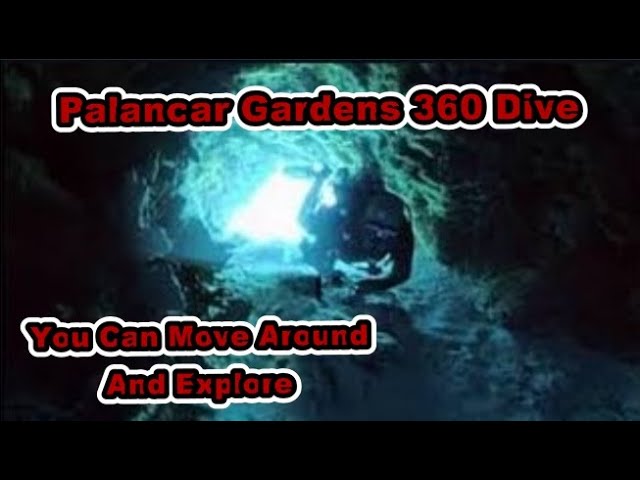 Come Dive With Us Palancar Gardens 360 Video {[You Can Move Around]}