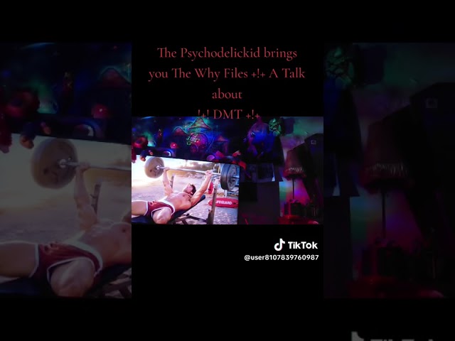 DMT discussed in the Why Files a psychodelickid production 