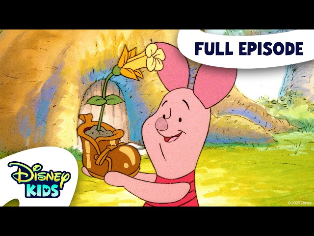 Prize Piglet / Fast Friends | The New Adventures of Winnie the Pooh S2 E5 | @disneykids