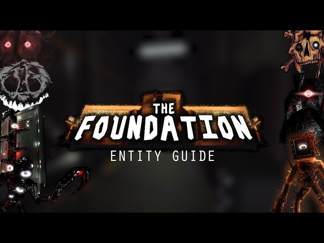 The Foundation Entity Guide