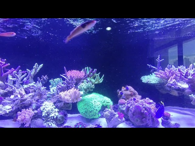 test VR180 3D