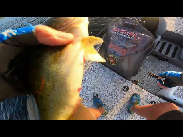 Always Good To Be On The Water