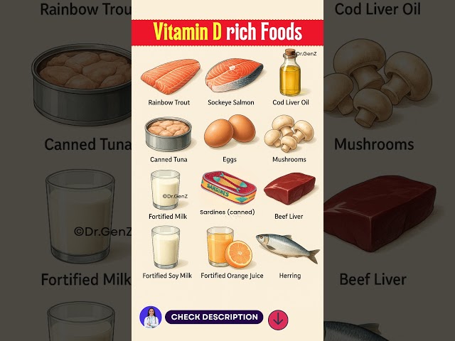 Top 12 Vitamin D Rich Foods You Should Add to Your Diet | Vitamin D Foods