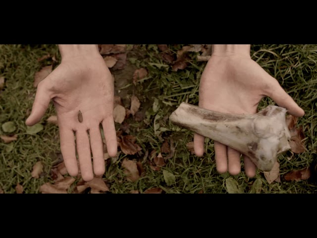 Rusty Lake: Roots - Fan Short Film