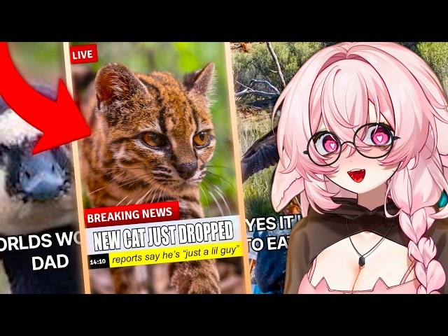 Polish Vtuber Reacts To MoreParz Shorts