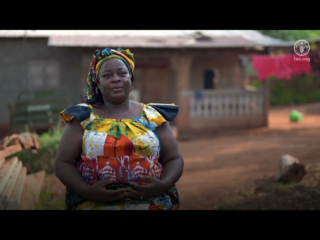 SCALA in Côte d’Ivoire: Boosting food security of women cassava growers
