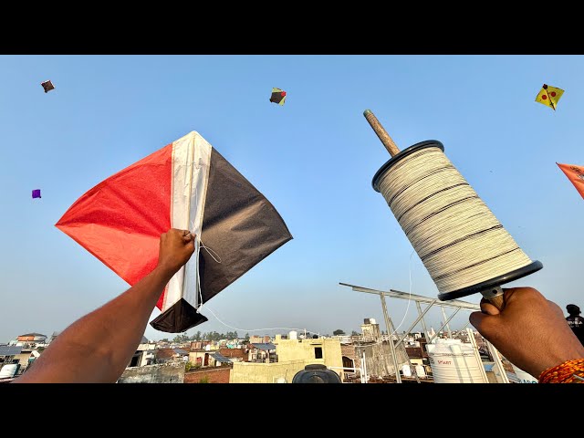 White Manjha Kite Fighting | Kite Cutting Video | Kite 