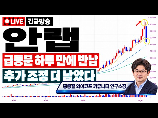 [AhnLab Stock Outlook] The "Real Reason" it Plummeted Despite Positive News about Financial Secto...